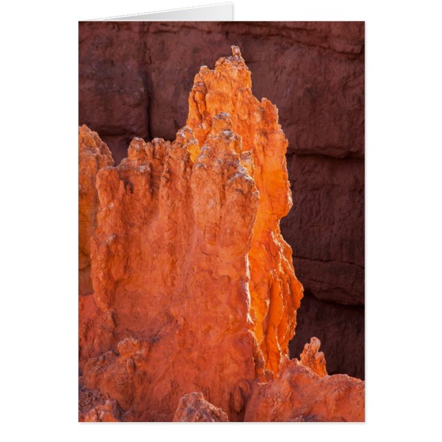 Radiantie (Voorkant)