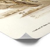 Radiated Goshawk van Elizabeth Gould Poster (Hoek)