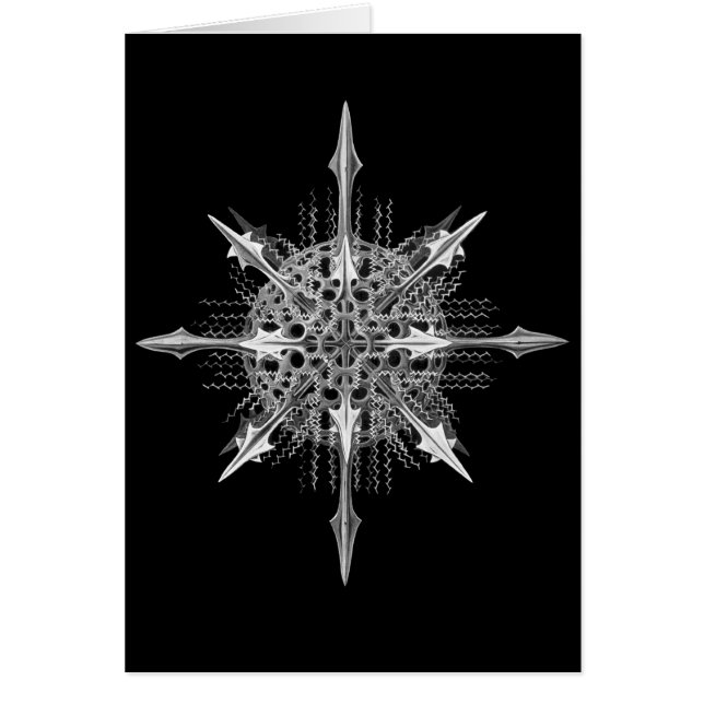 Radiolarissen (Voorkant)