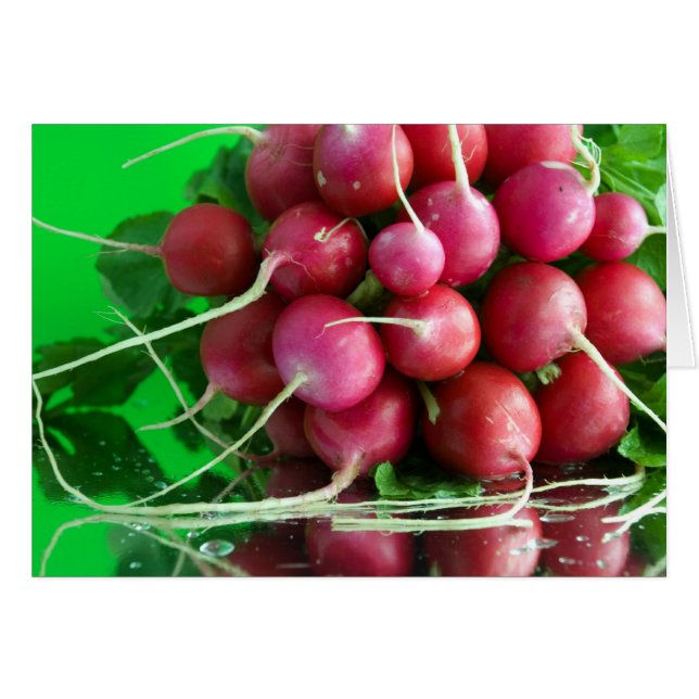 Radish (Devant horizontal)