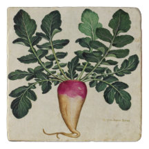 Radish Botanical Marble of Travertine Trivet