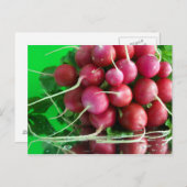 Radish Briefkaart (Voorkant / Achterkant)