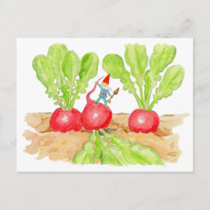 Radish Garden Gnome briefkaart