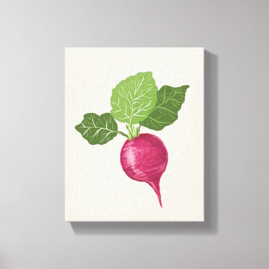 Radish kitchen wall decor (vegetable illustration) canvas afdruk (Voorkant)