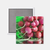 Radish Magneet (Voorkant / Achterkant)