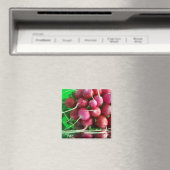 Radish Magneet (Insitu (Vaatwasser))
