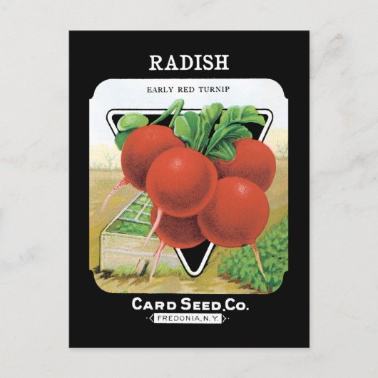 Radish Seed Pack Briefkaart (Voorkant)