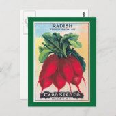 Radish Seed Packet Briefkaart (Voorkant / Achterkant)
