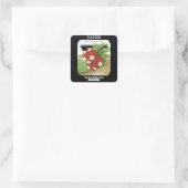 Radish Seed Packet Étiquette (Sac)
