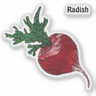 Radish Sticker