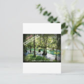 RADIUM SPRINGS - Albany, Georgia Briefkaart (Staand voorkant)