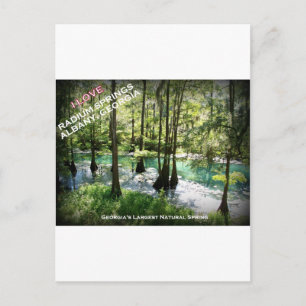 RADIUM SPRINGS - Albany, Georgia Briefkaart