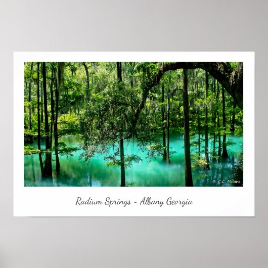 Radium Springs ~ Albany Georgia Poster (Voorkant)