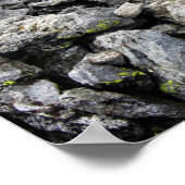 Rae Lakes van de gefinteerde dame - John Muir Trai Poster (Hoek)