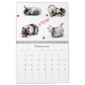 Raevyn Keesagenda 2015 Kalender (Feb 2026)