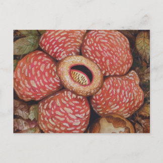 Rafflesia of Borneo Waterverf Art Briefkaart