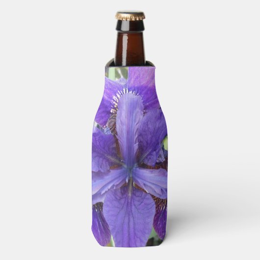 Rafraichisseur De Bouteilles Brandeis (Bottle Devant)