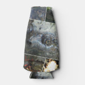 Rafraichisseur De Bouteilles Collage de tortue (Devant)