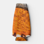 Rafraichisseur De Bouteilles Coquillage hypnotique (Devant)