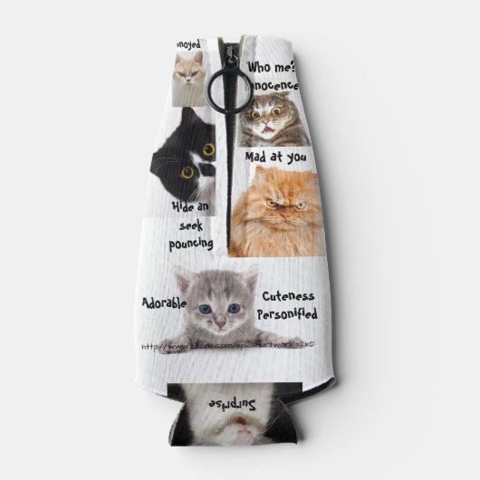 Rafraichisseur De Bouteilles "École de chat" (Dos)