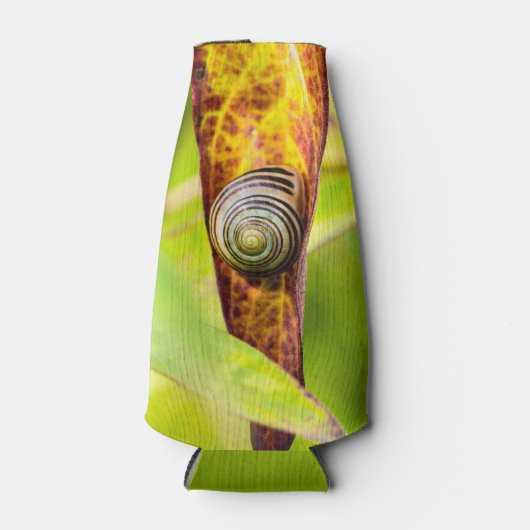 Rafraichisseur De Bouteilles fixation calme (Devant)