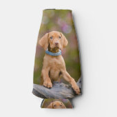 Rafraichisseur De Bouteilles Joli chiot hongrois Vizsla Chien Chien Photo // (Devant)