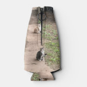 Rafraichisseur De Bouteilles Refroidisseur de canette de chat (Dos)