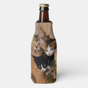 Rafraichisseur De Bouteilles Trois chatons curieux