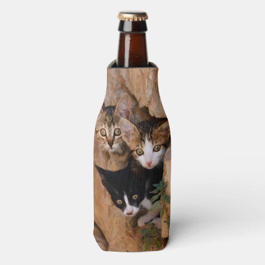 Rafraichisseur De Bouteilles Trois chatons curieux (Bottle Devant)