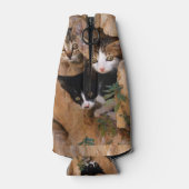 Rafraichisseur De Bouteilles Trois chatons curieux (Dos)