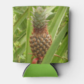 Rafraichisseur De Cannettes Ananas sauvage Fruit tropical dans la nature (Devant)