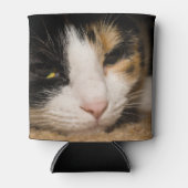 Rafraichisseur De Cannettes Calico Face (Devant)