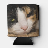 Rafraichisseur De Cannettes Calico Face (Dos)