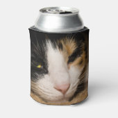 Rafraichisseur De Cannettes Calico Face (Can Dos)