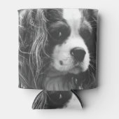 Rafraichisseur De Cannettes Cavalier King Charles Spaniel (Devant)