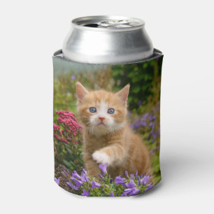 Rafraichisseur De Cannettes Chaton mignon de chat de gingembre dans un jardin,