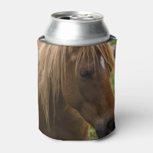 Rafraichisseur De Cannettes Cheval bonjour