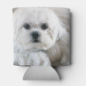 Rafraichisseur De Cannettes Chih Tzu Puppy (Dos)