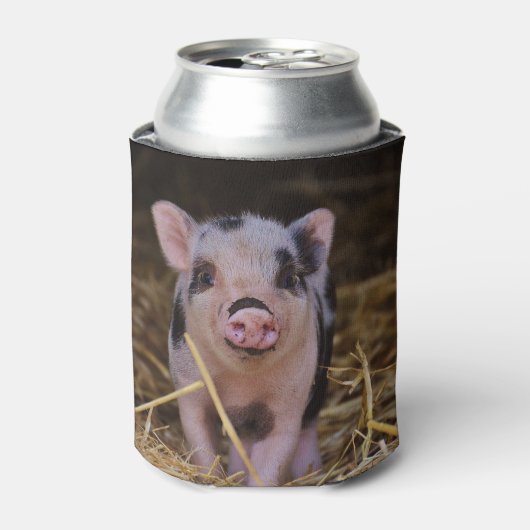 Rafraichisseur De Cannettes Cochon doux (Can devant)