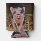 Rafraichisseur De Cannettes Cochon doux (Devant)