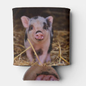 Rafraichisseur De Cannettes Cochon doux (Dos)