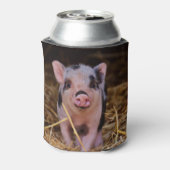 Rafraichisseur De Cannettes Cochon doux (Can Dos)