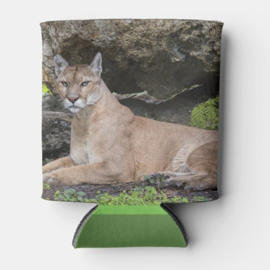 Rafraichisseur De Cannettes Floride Panther peut refroidir (Devant)