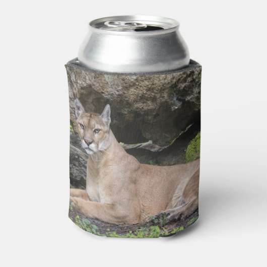 Rafraichisseur De Cannettes Floride Panther peut refroidir (Can Dos)