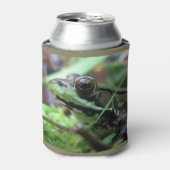 Rafraichisseur De Cannettes Frog Cosy (Can devant)
