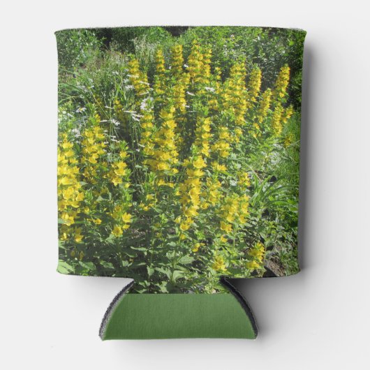 Rafraichisseur De Cannettes Golden Alexanders Loosestrife Spring (Devant)