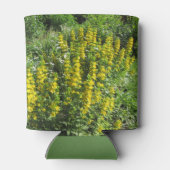 Rafraichisseur De Cannettes Golden Alexanders Loosestrife Spring (Dos)