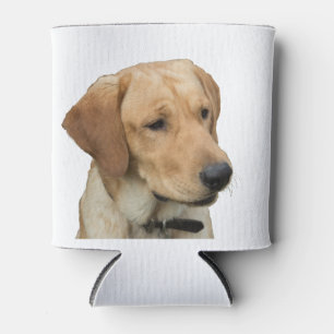 Rafraichisseur De Cannettes Labrador retriever jaune