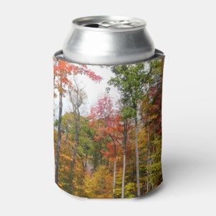 Rafraichisseur De Cannettes L'automne dans la forêt Photographie d'automne col