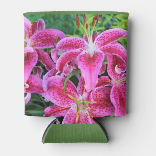 Rafraichisseur De Cannettes Lys orientaux Stargazer (Devant)